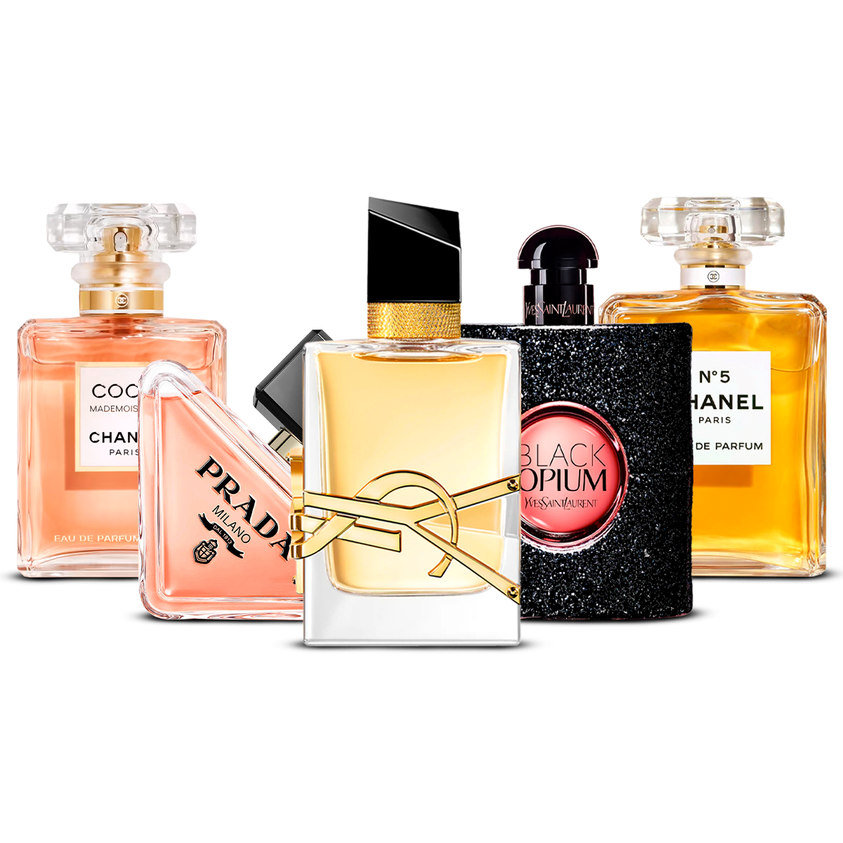 Combination of 5 Women's Perfumes – Coco Mademoiselle, Prada Paradoxe, Libre, Black Opium, and Chanel N°5 [each 100 ml]